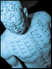 acupuncture doll