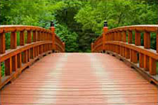 Chinese Medicine Bridge to Healing